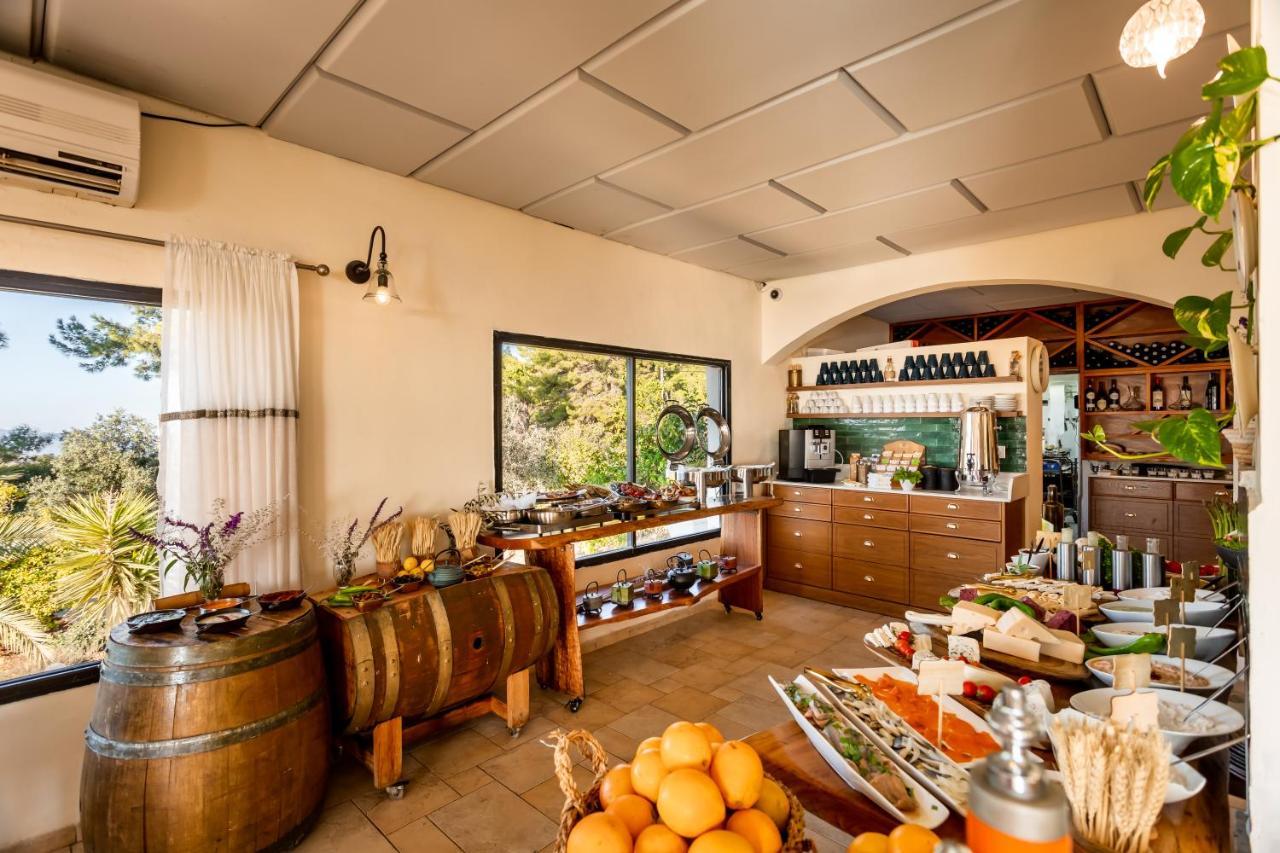 Amirey Hagalil Boutique Hotel Amirim Dış mekan fotoğraf