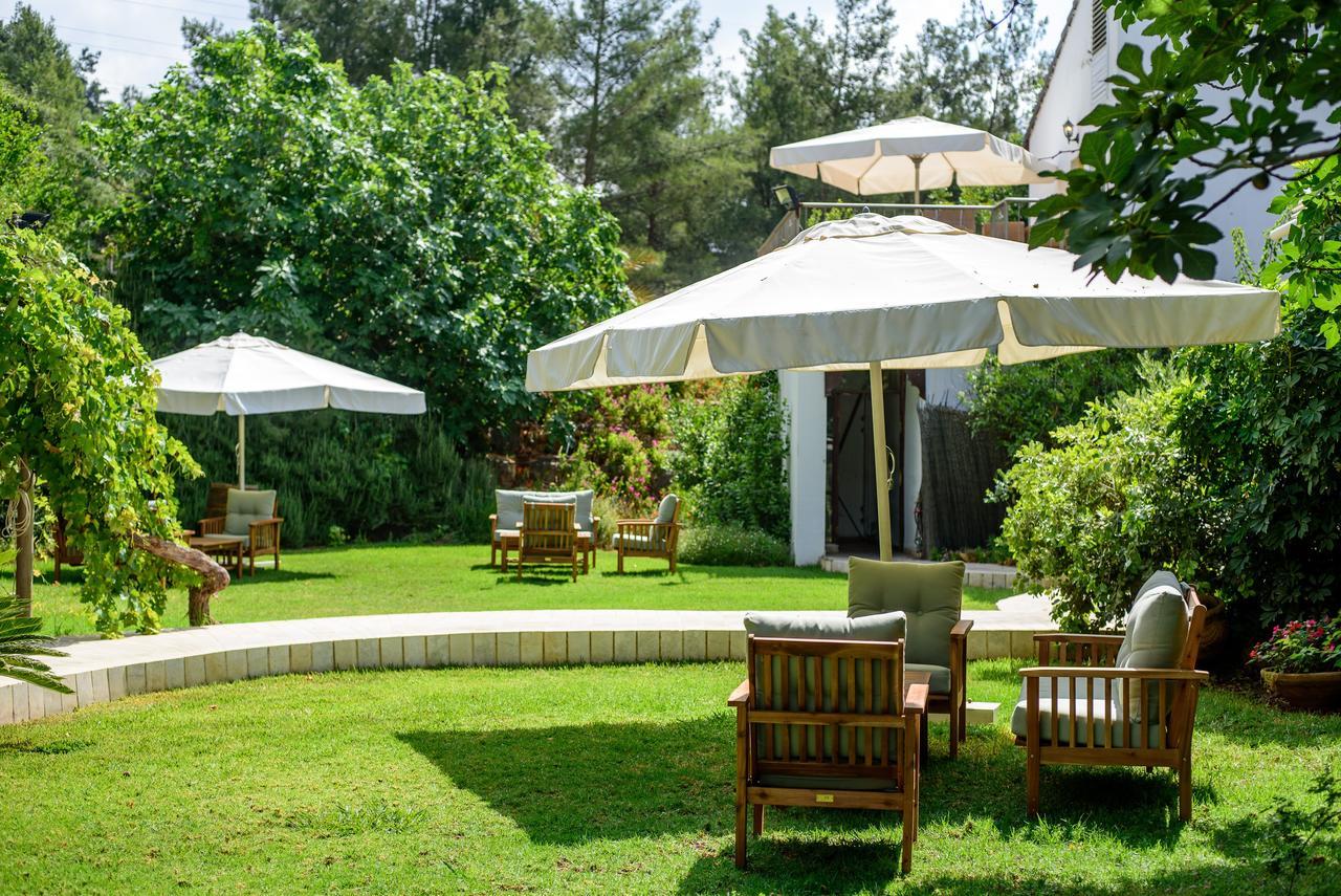 Amirey Hagalil Boutique Hotel Amirim Dış mekan fotoğraf
