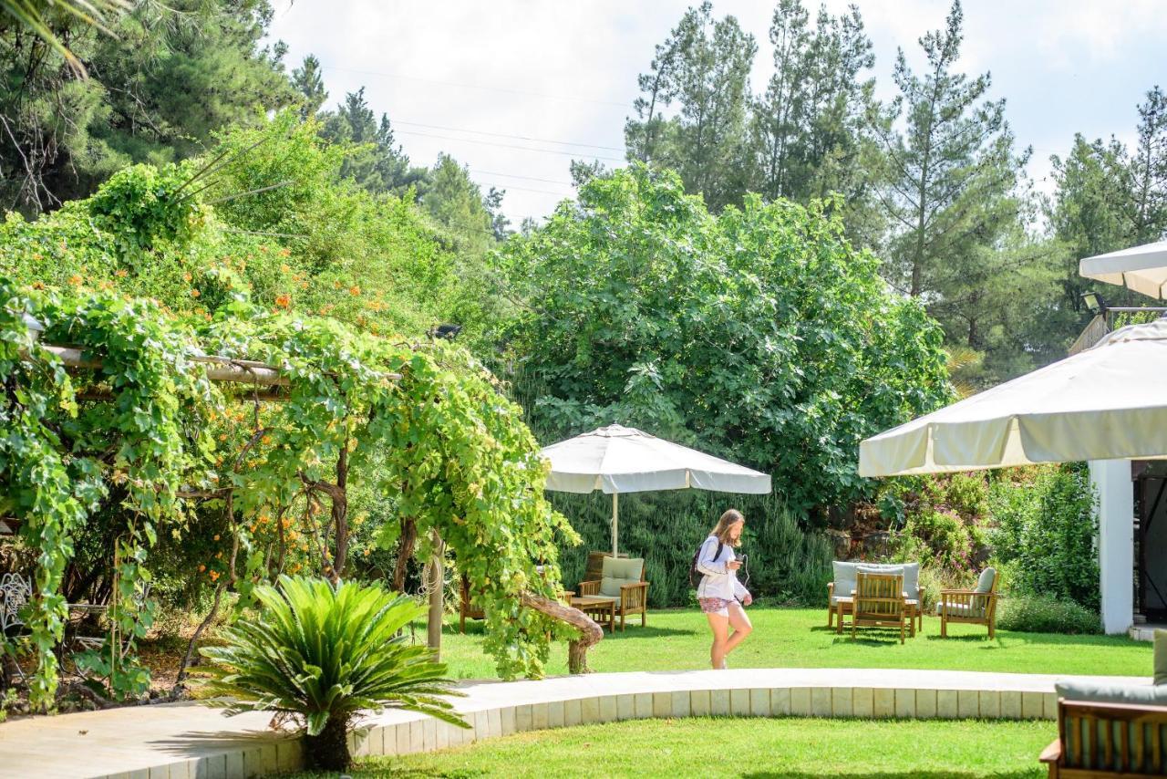 Amirey Hagalil Boutique Hotel Amirim Dış mekan fotoğraf